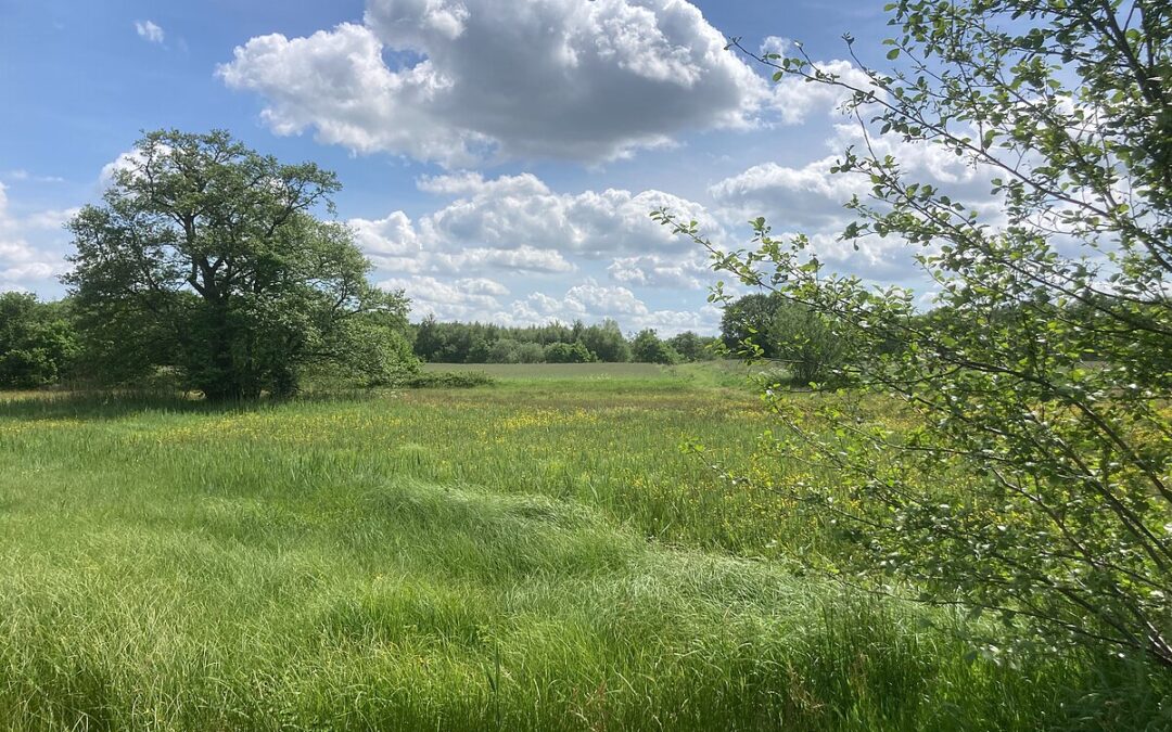 Transitie Landelijke Gebied