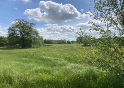 Transitie Landelijke Gebied